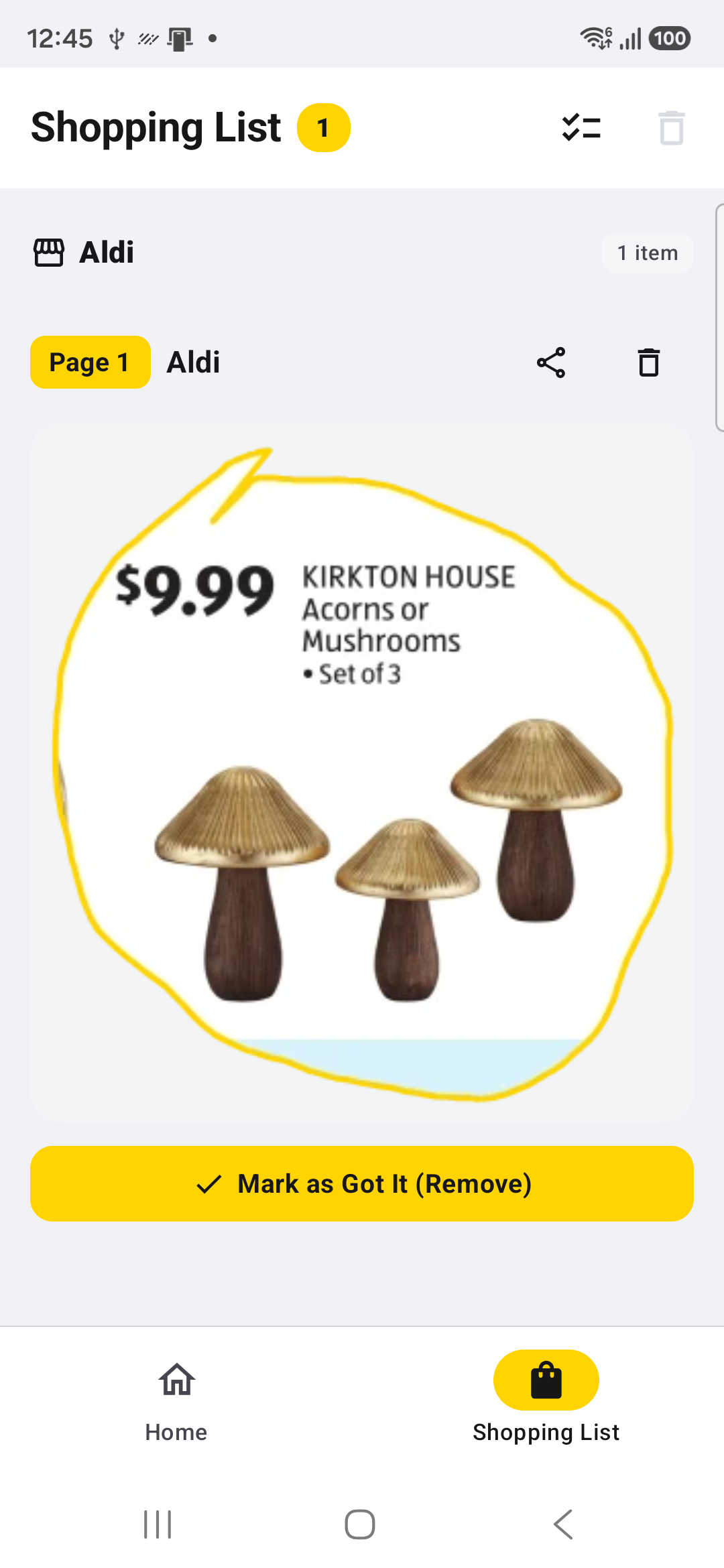 Shopping list screen
